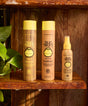 Sun Bum shampoo, conditioner, and spray bottle on a wooden shelf with a plant in the background.