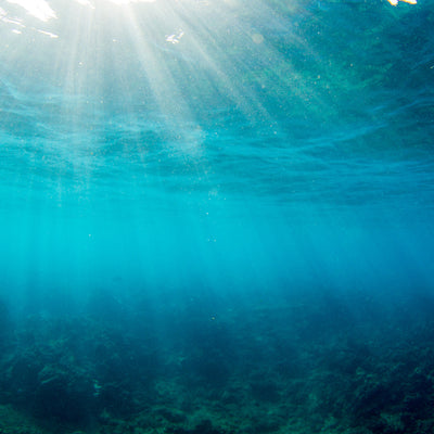 Underwater view with sunlight filtering through the water surface