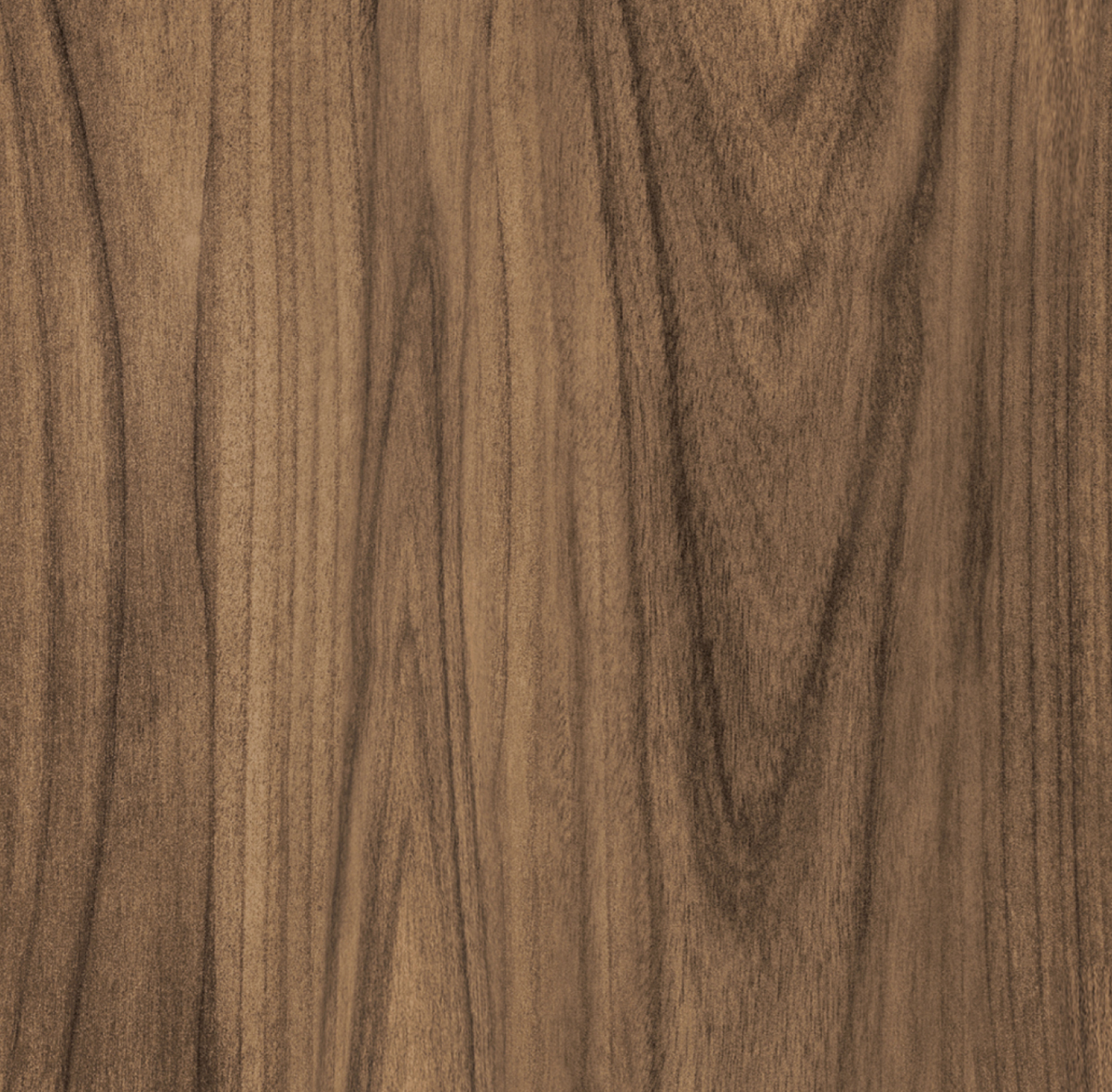 Close-up of a wooden surface with visible grain and texture