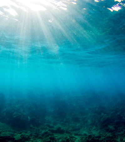 Underwater view with sunlight rays